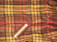 Rapalje Dieb, de échte, 70cm hoog, per meter, 1 zelfkant